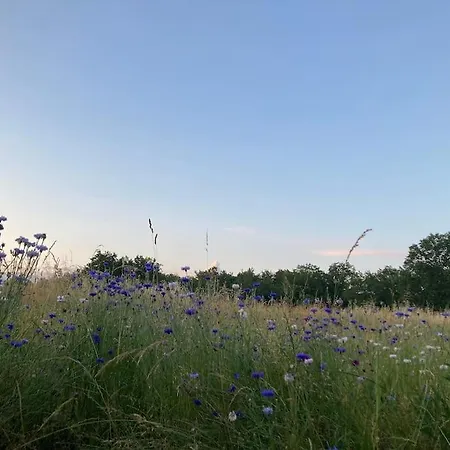 Cosy In Rural Paradise 度假居