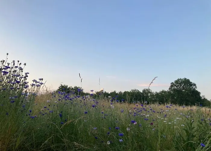 Cosy In Rural Paradise 펜션